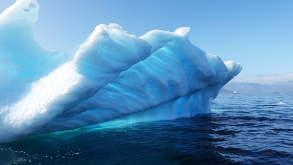 Lessons from lemmings: Ecosystem disruptions can have cascading effects on  species - WWF Arctic