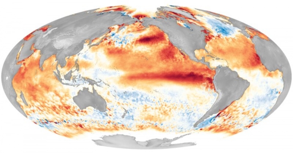 We saved the puffins. Now a warming planet is unraveling that work