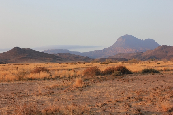 Big View by Jim, Saguaro National Park, Arizona, Jim and Nina Pollock